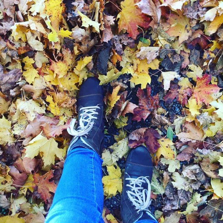 14509327_1266236746761758_366480400_n