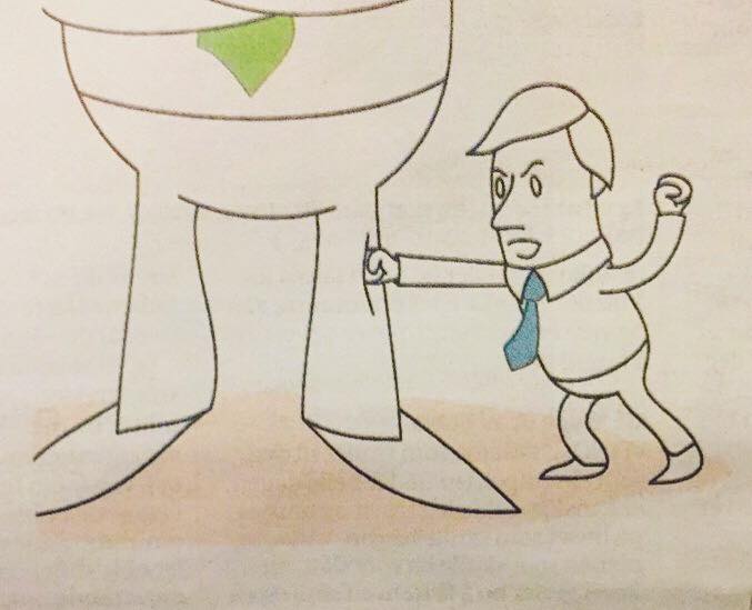 17342933_1330930840325041_8255378831795613586_n